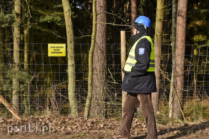 Wycinka, która budzi emocje zdjęcie nr 195021