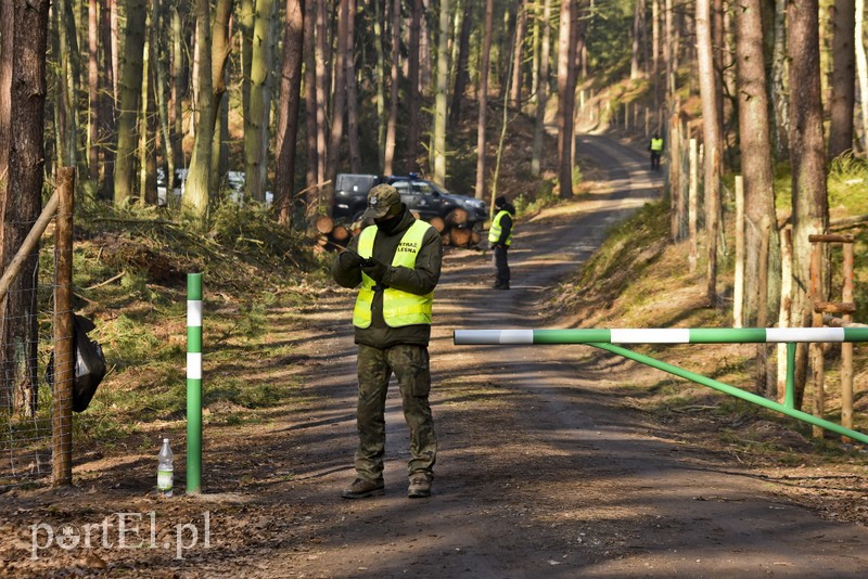 Wycinka, która budzi emocje zdjęcie nr 195020