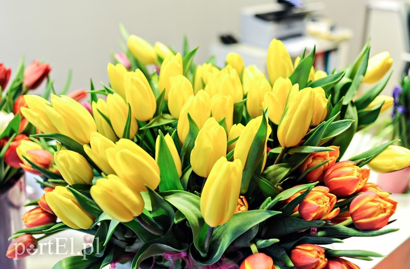 Elbląg Uśmiech za kwiatka, czyli jak portEl Dzień Kobiet świętował