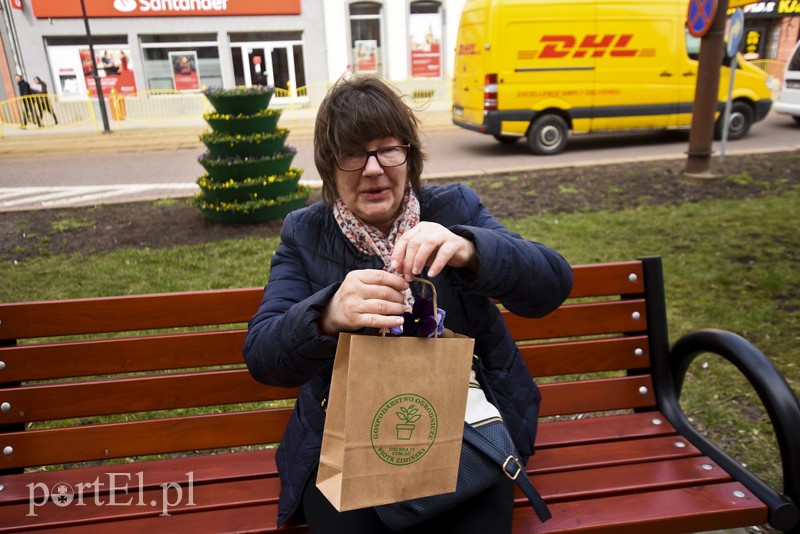 Wiosna, ach to ty! zdjęcie nr 196963