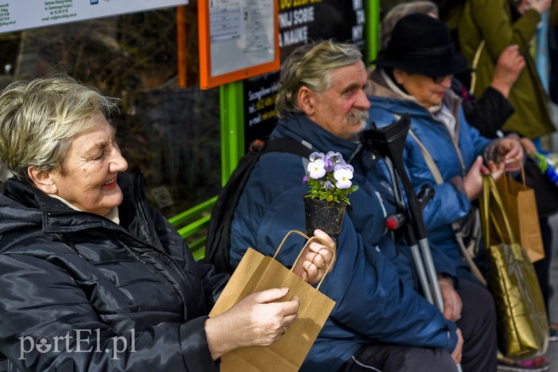 Wiosna, ach to ty! zdjęcie nr 196975