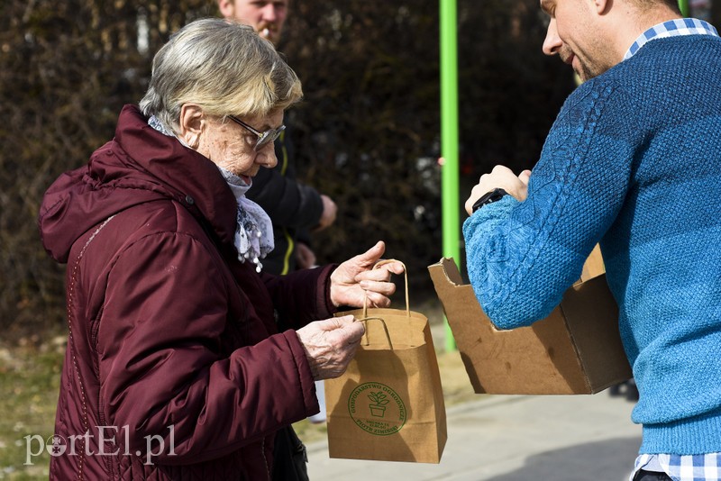Wiosna, ach to ty! zdjęcie nr 196974