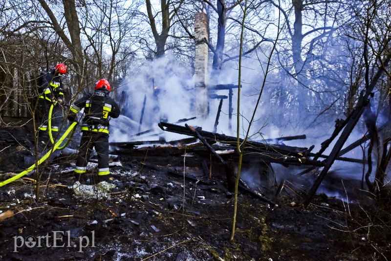 Pożar altanki na skraju lasu zdjęcie nr 197962