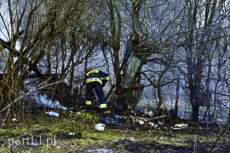 Pożar altanki na skraju lasu zdjęcie nr 197956