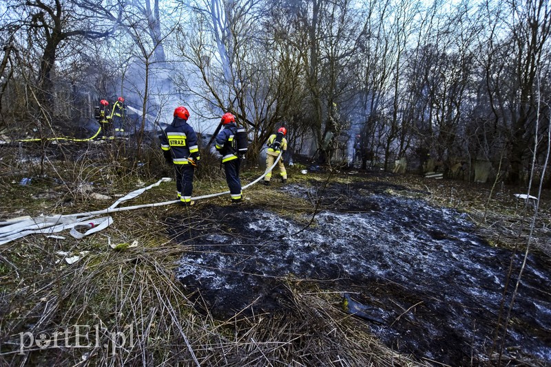 Pożar altanki na skraju lasu zdjęcie nr 197963