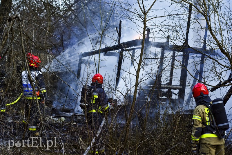 Elbląg Pożar altanki na skraju lasu