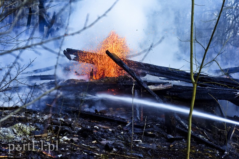 Pożar altanki na skraju lasu zdjęcie nr 197959