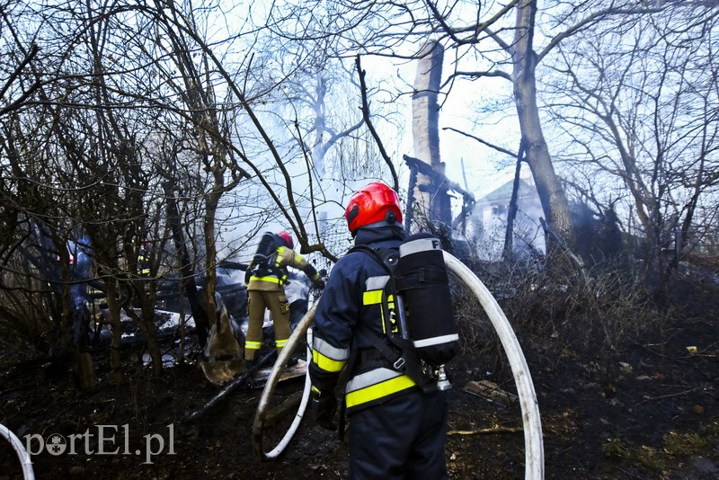 Pożar altanki na skraju lasu zdjęcie nr 197965