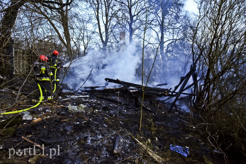 Pożar altanki na skraju lasu zdjęcie nr 197961