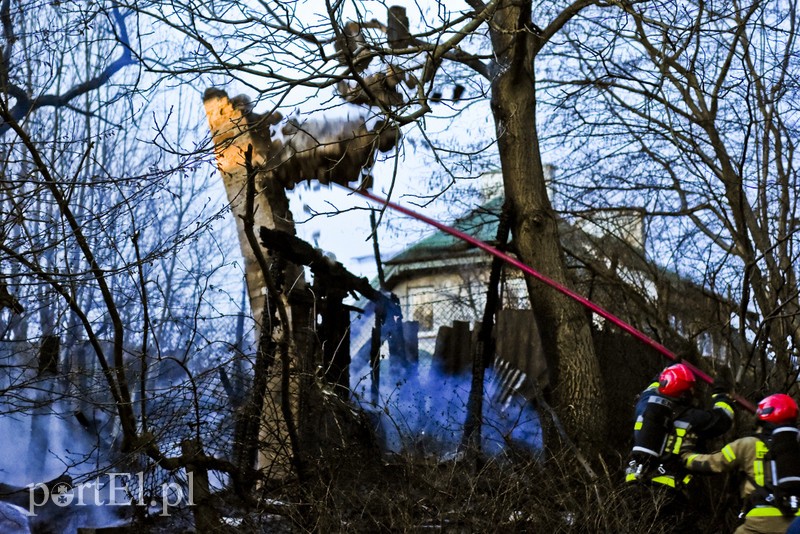 Pożar altanki na skraju lasu zdjęcie nr 197967