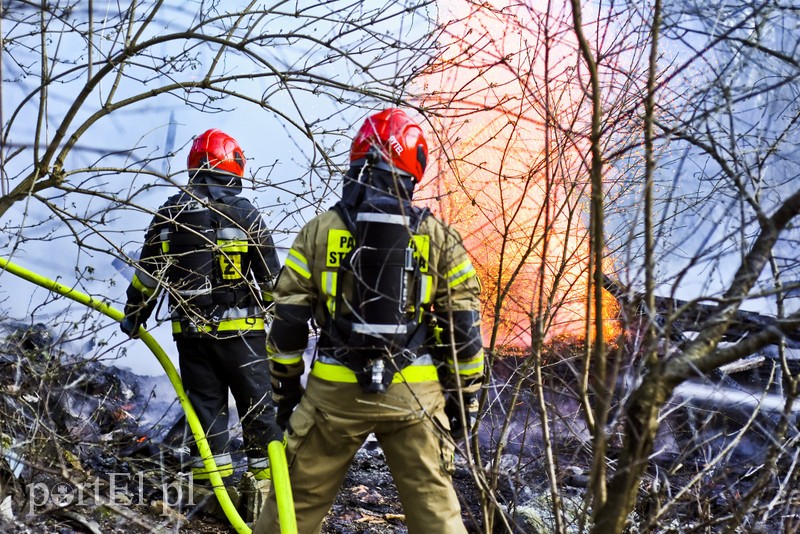 Pożar altanki na skraju lasu zdjęcie nr 197958