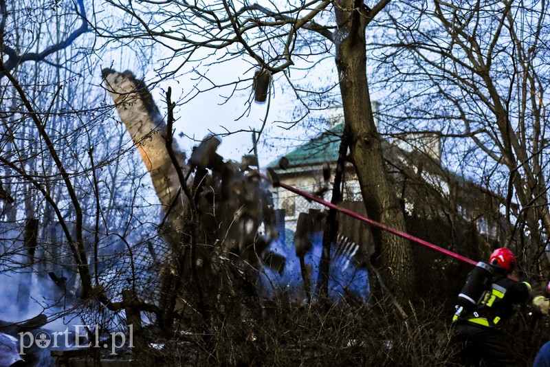 Pożar altanki na skraju lasu zdjęcie nr 197968