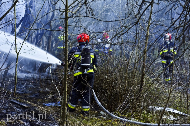 Pożar altanki na skraju lasu zdjęcie nr 197957