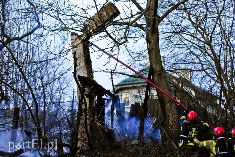 Pożar altanki na skraju lasu zdjęcie nr 197966