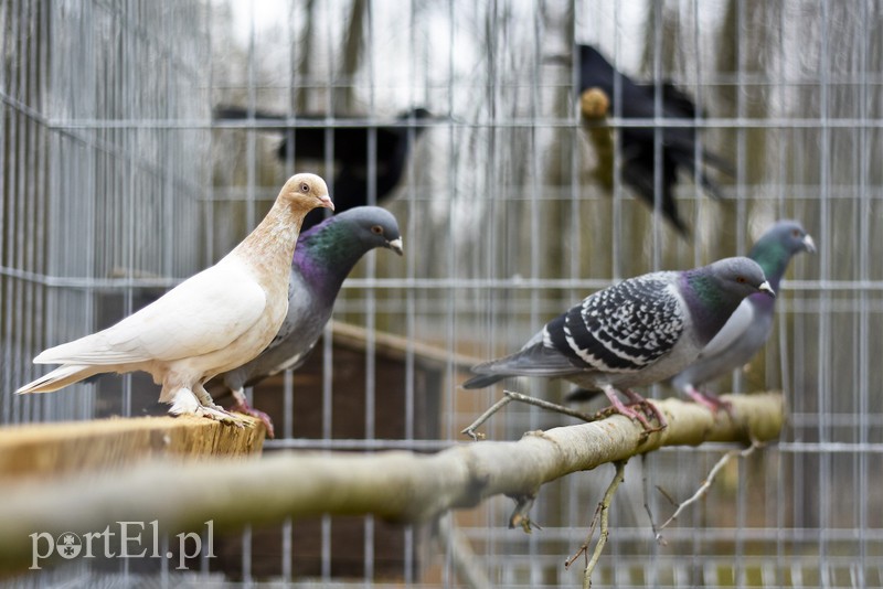 Co słychać w "Jelonkach" pod nowym adresem? zdjęcie nr 199246