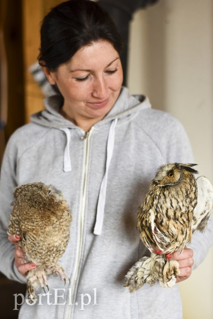 Co słychać w "Jelonkach" pod nowym adresem? zdjęcie nr 199262