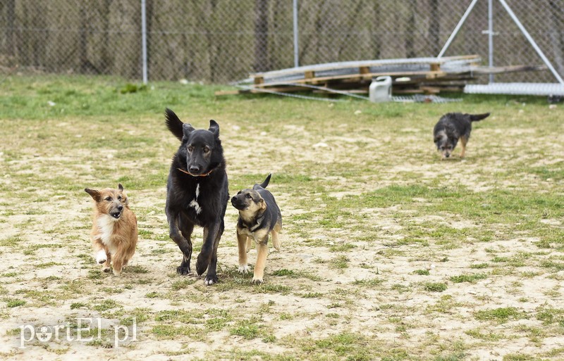 Co słychać w "Jelonkach" pod nowym adresem? zdjęcie nr 199255