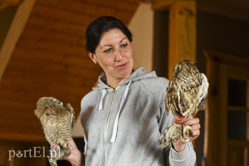 Co słychać w "Jelonkach" pod nowym adresem? zdjęcie nr 199260