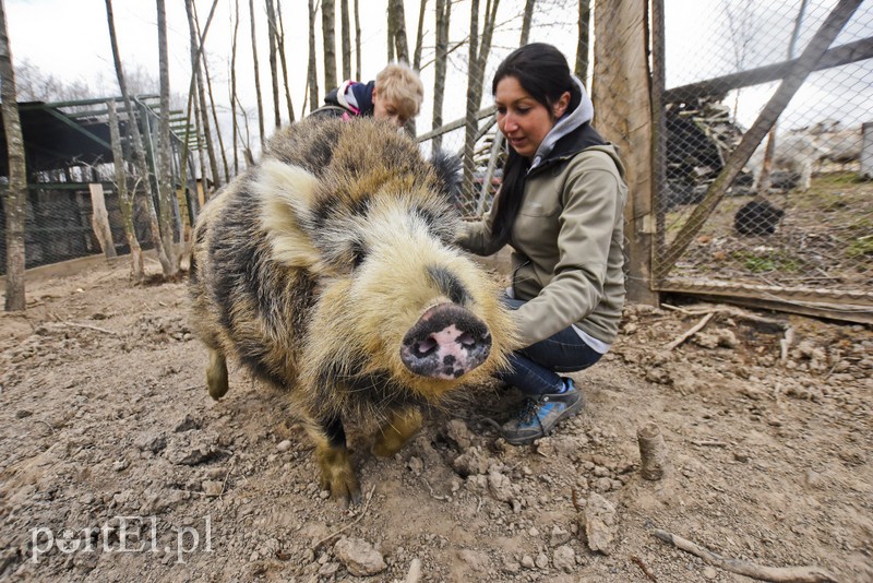 Co słychać w "Jelonkach" pod nowym adresem? zdjęcie nr 199230