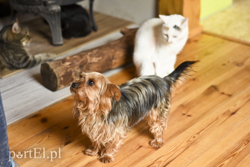 Co słychać w "Jelonkach" pod nowym adresem? zdjęcie nr 199258