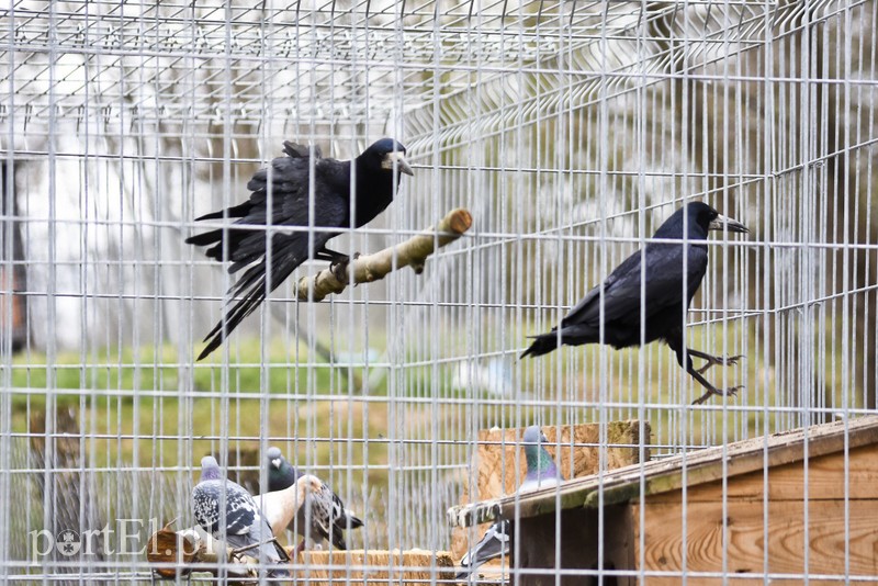 Co słychać w "Jelonkach" pod nowym adresem? zdjęcie nr 199243