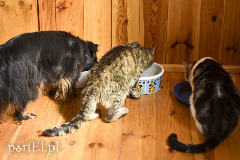 Co słychać w "Jelonkach" pod nowym adresem? zdjęcie nr 199259