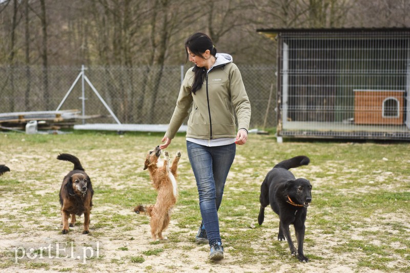 Co słychać w "Jelonkach" pod nowym adresem? zdjęcie nr 199256