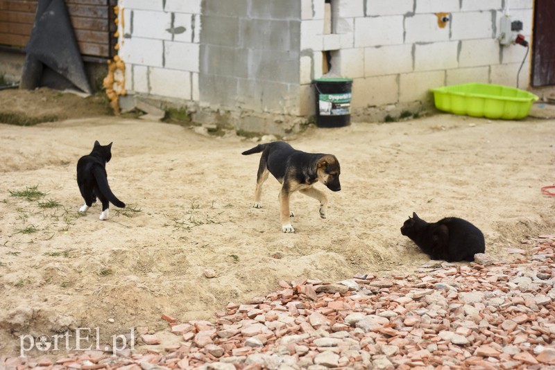 Co słychać w "Jelonkach" pod nowym adresem? zdjęcie nr 199257