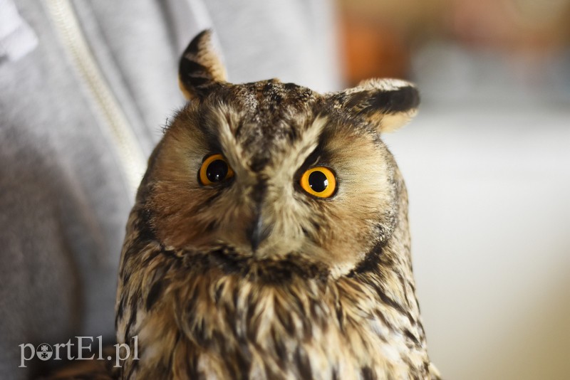 Co słychać w "Jelonkach" pod nowym adresem? zdjęcie nr 199265