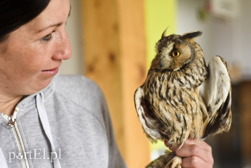 Co słychać w "Jelonkach" pod nowym adresem? zdjęcie nr 199263