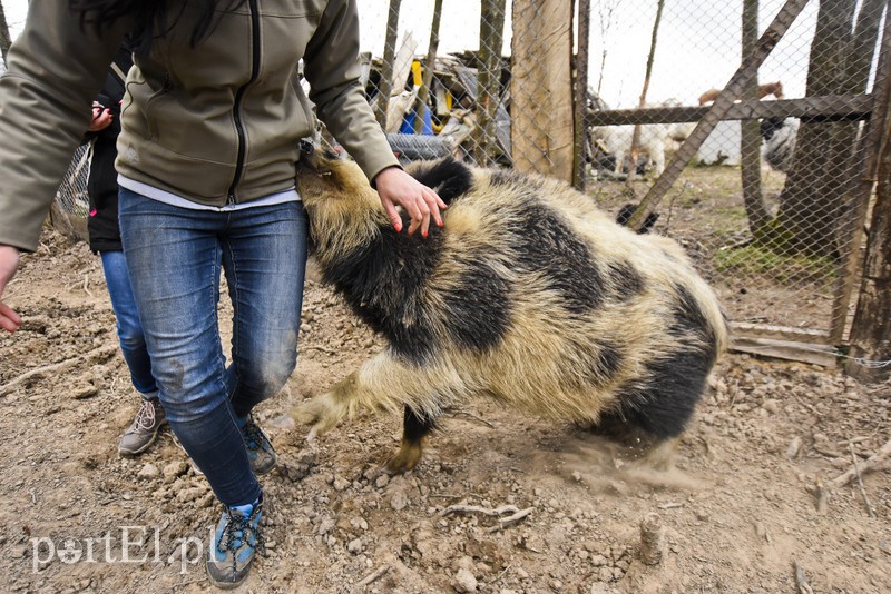 Co słychać w "Jelonkach" pod nowym adresem? zdjęcie nr 199231