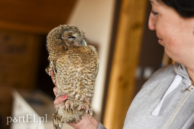 Co słychać w "Jelonkach" pod nowym adresem? zdjęcie nr 199264