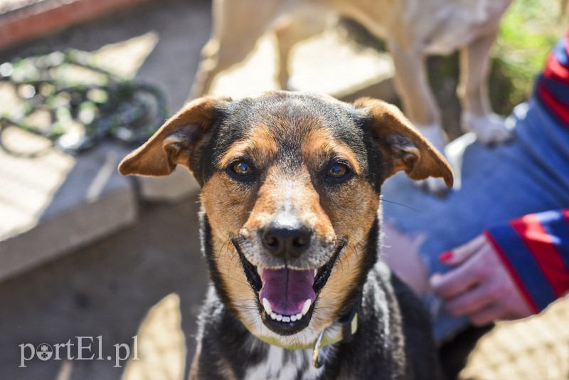 Galeria pod psem i kotem (Odc.52) zdjęcie nr 200250