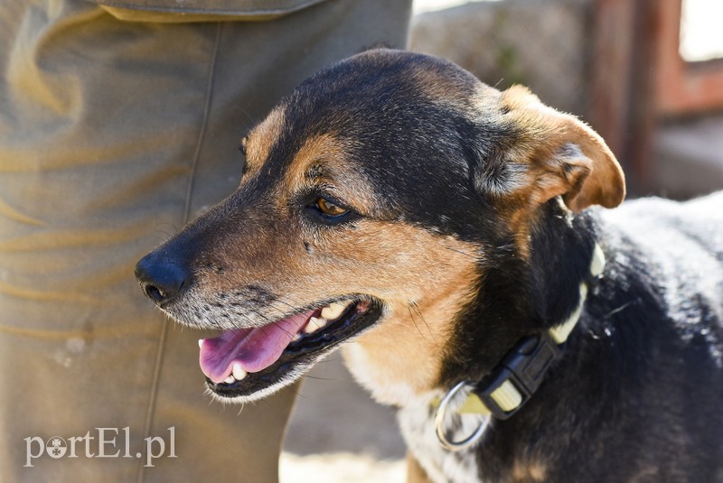 Galeria pod psem i kotem (Odc.52) zdjęcie nr 200248