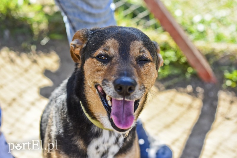Galeria pod psem i kotem (Odc.52) zdjęcie nr 200251