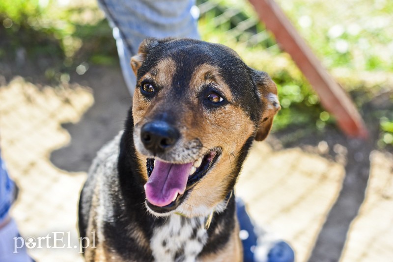 Galeria pod psem i kotem (Odc.52) zdjęcie nr 200252