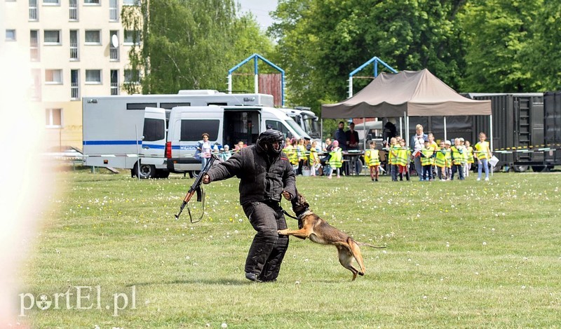 Dobrze się bawili ze służbami zdjęcie nr 200736
