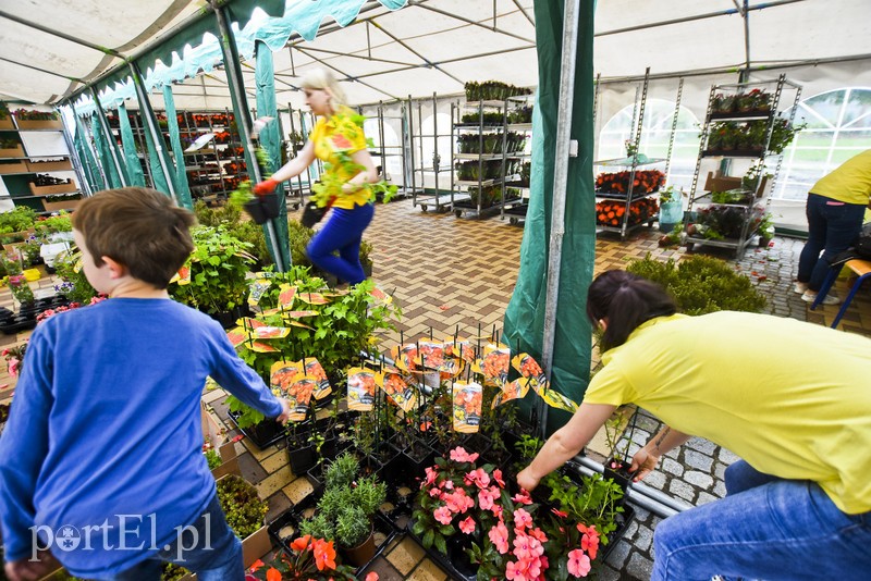 Zamieniali plastik na rośliny zdjęcie nr 200999