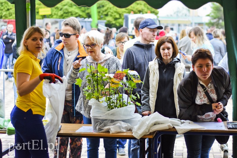 Zamieniali plastik na rośliny zdjęcie nr 201001