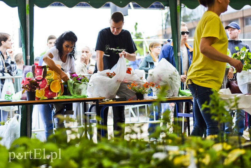 Zamieniali plastik na rośliny zdjęcie nr 201003