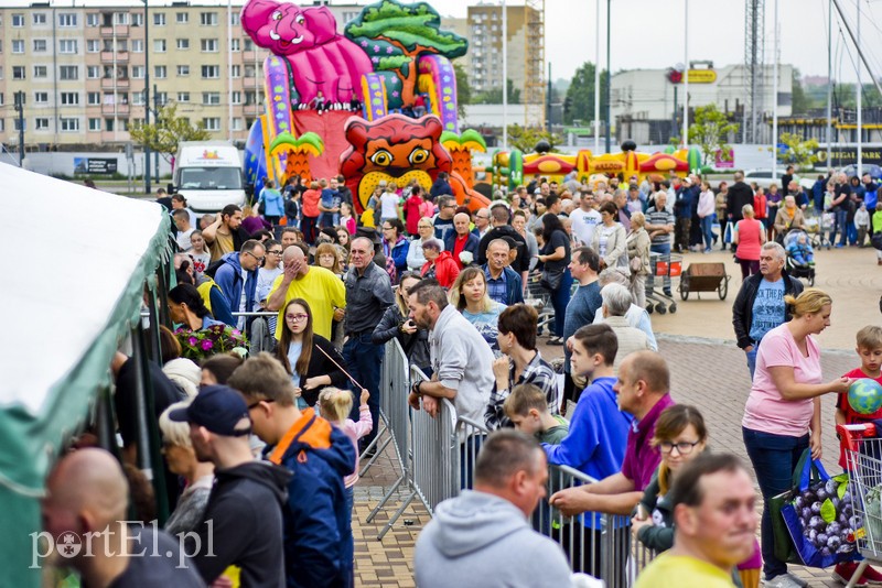 Zamieniali plastik na rośliny zdjęcie nr 201004