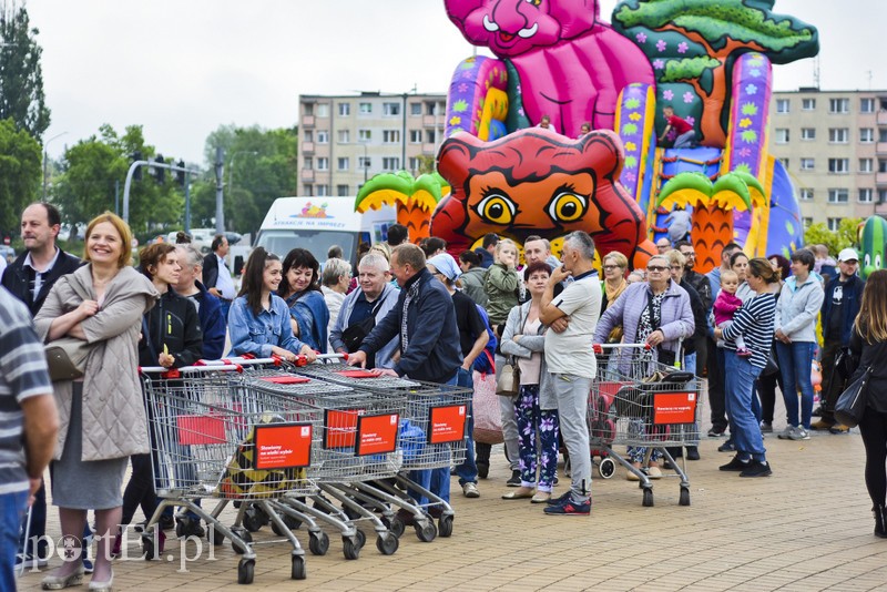 Zamieniali plastik na rośliny zdjęcie nr 201008
