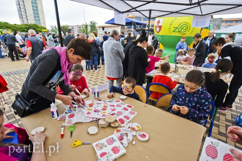 Zamieniali plastik na rośliny zdjęcie nr 200994