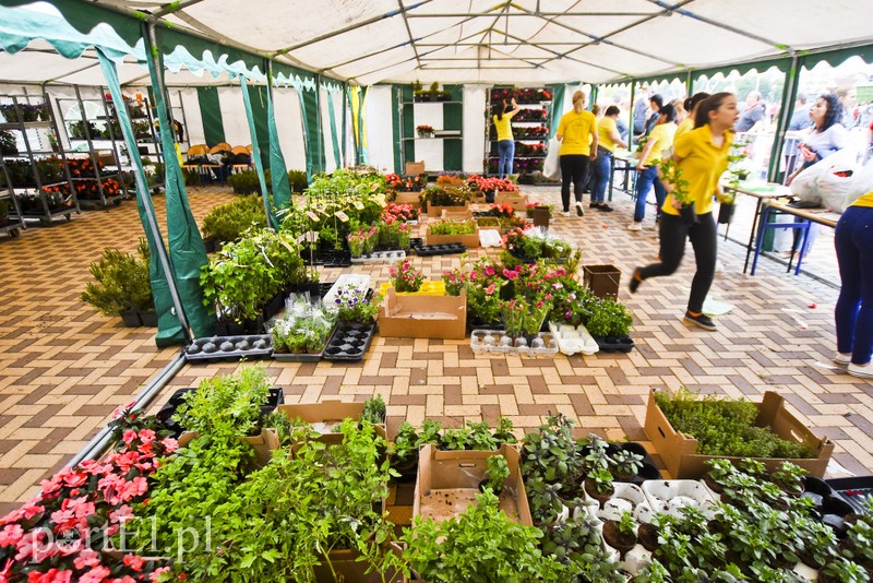 Zamieniali plastik na rośliny zdjęcie nr 200996