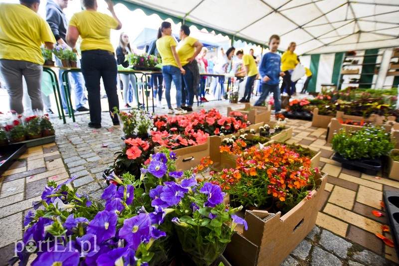 Zamieniali plastik na rośliny zdjęcie nr 200998