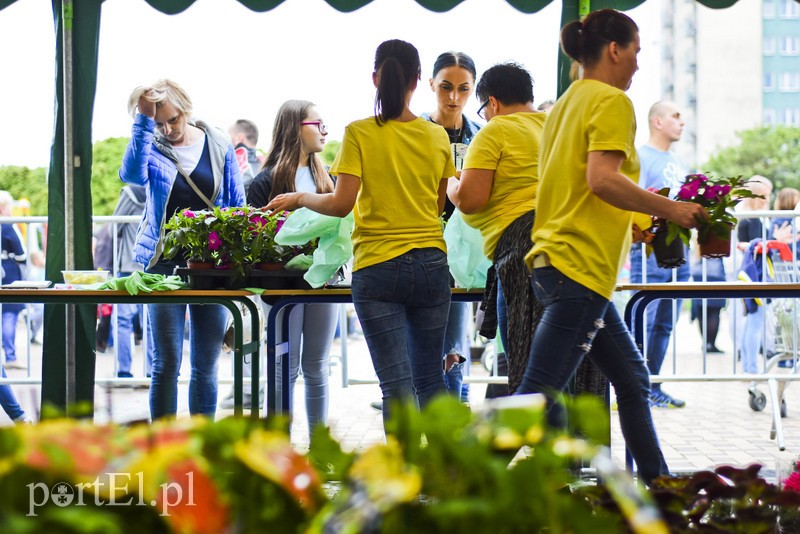 Zamieniali plastik na rośliny zdjęcie nr 201002