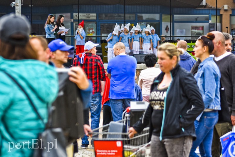 Zamieniali plastik na rośliny zdjęcie nr 200989