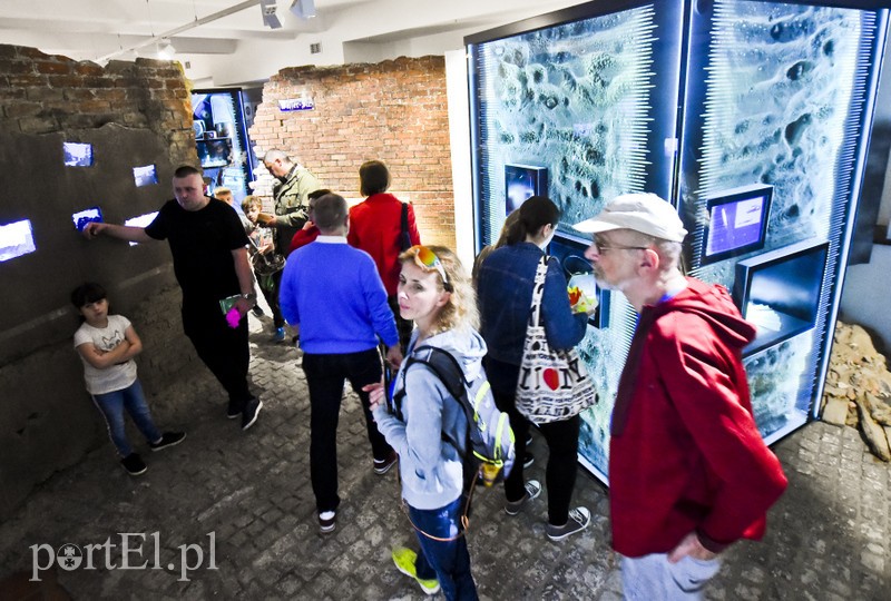 Wieczorne gry, pokazy i wystawy zdjęcie nr 201094