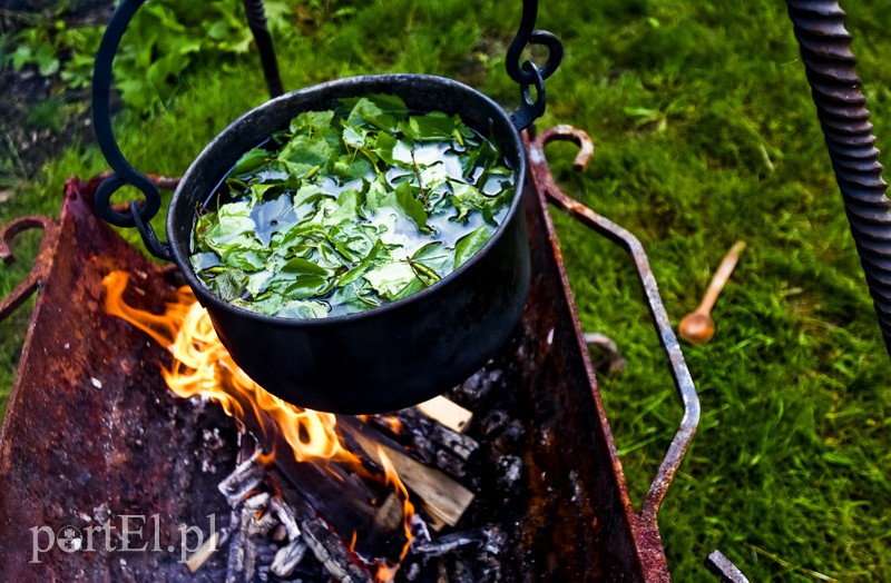 Wieczorne gry, pokazy i wystawy zdjęcie nr 201023