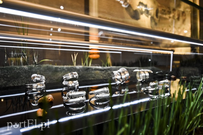 Wieczorne gry, pokazy i wystawy zdjęcie nr 201067